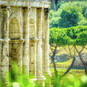Rome And Italy Landmark - Colosseum Closeup Windows Art Print