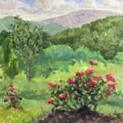 Roses On The Mountaintop Art Print