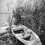Rowboat In The Marsh In Black And White Art Print