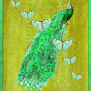 Royal Peacock Art Print