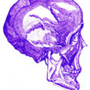 Royalty-purple Skull Art Print