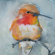 Rufous Hummingbird Art Print