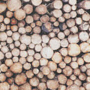 Rustic Wood Log Pile Circles Art Print