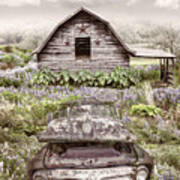 Rusty Ford By The Farmhouse Star Barn Art Print