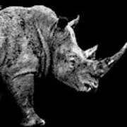 Safari Profile Collection - Rhino Black Edition Art Print