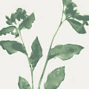 Sage Green Flowers 2 Art Print