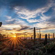 Saguaro Sunset Art Print