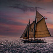 Sailing At Sunset Art Print