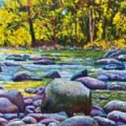 Salmon River Art Print