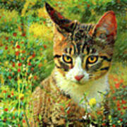 Sammy The Tabby Cat In A Field Of Wildflowers Art Print