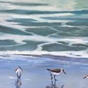 Sandpipers Art Print