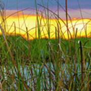 Sawgrass Sunset Art Print