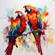 Scarlet Macaw Art Print