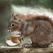 Sciurus Vulgaris- Scottish Red Squirrel Art Print