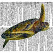 Sea Turtle 2 On Dictioinary Art Print