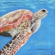 Sea Turtle Art Print