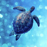Sea Turtle Bubbly Blues Art Print