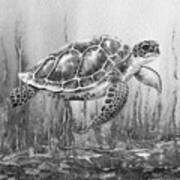 Sea Turtle Gray Watercolor Ocean Creature Ix Art Print
