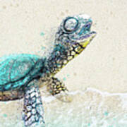 Sea Turtle On The Shore Art Print