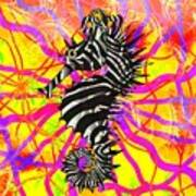 Seahorse Zebra Stripes Bold And Bright Art Print