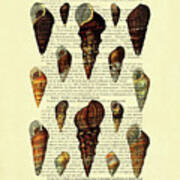 Seashell Chart In Color On French Book Page Art Print