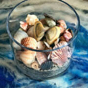 Seashell Selection Art Print