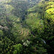 Sekumpul Rice Terraces Bali Indonesia Art Print