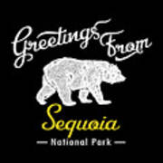 Sequoia National Park Chalk Bear Art Print