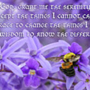 Serenity Prayer With Bumblebee Art Print