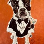 Boston Terrier Bond 007 Shaken Not Stirred Art Print