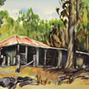 Shearing Shed Art Print