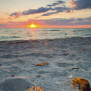 Shells On Sandy Beach Of Captiva Island At Scenic Sunset, Florida, Usa Art Print