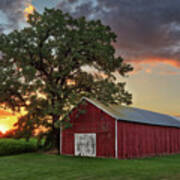 Sheltered - Wisconsin Shed And Oak Tree With Corn Field And Beautiful Sunset Art Print