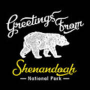 Shenandoah National Park Chalk Bear Art Print