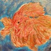 Siamese Fighter Fish Art Print
