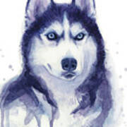 Siberian Husky Watercolor Art Print