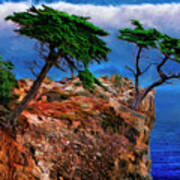 Sideways Lone Cypress Pebble Beach Art Print
