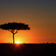Single Acacia Tree On Horizon At Colorful Sunset Art Print