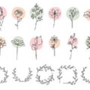 Single Line Flowers Set Art Print