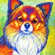 Small And Sassy - Colorful Rainbow Chihuahua Dog Art Print