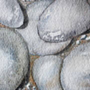 Smooth Gray Rocks On Beach Watercolour Art Print