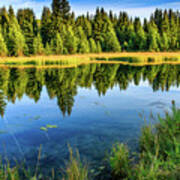 Snake River Reflections Art Print