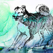 Snarling Mongrel Dog Art Print