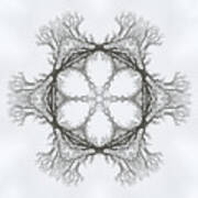 Snoakflake - Snow Covered Oak Tree In Winter As Through Kaleidoscope Art Print