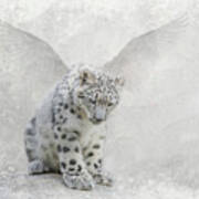 Snow Angel Art Print