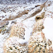 Snow Covered Cactus Below Mount Whitney Eastern Sierras Art Print