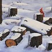 Snow Covered Logs Art Print
