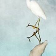 Snowy Egret Reflection Art Print