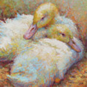 Snuggle Ducks Art Print