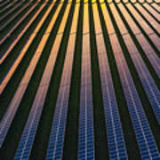 Solar Panels At Dusk Art Print